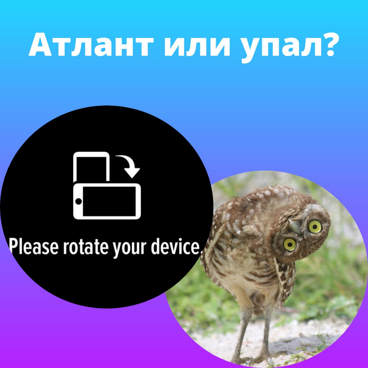 🙈 Каждый увидит то, что захочет