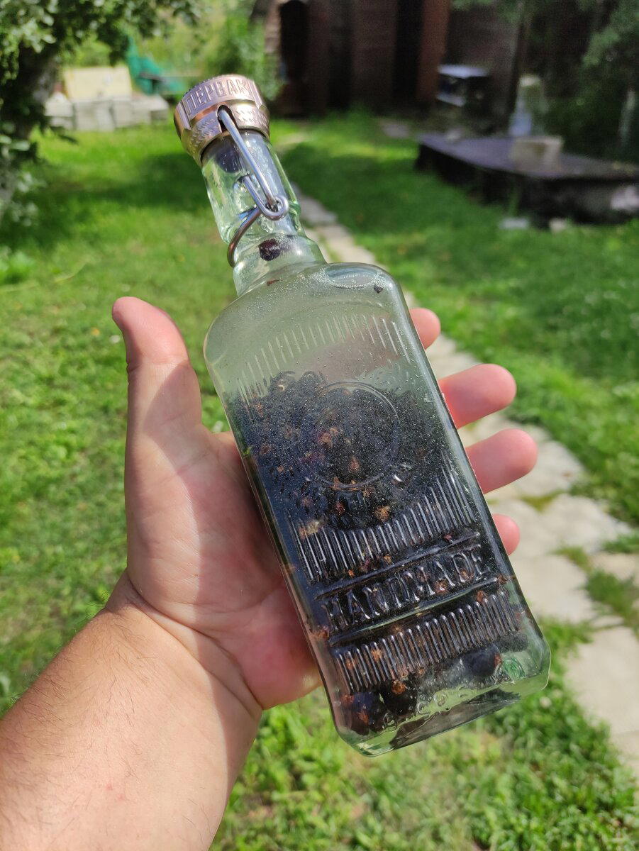 черная смородина