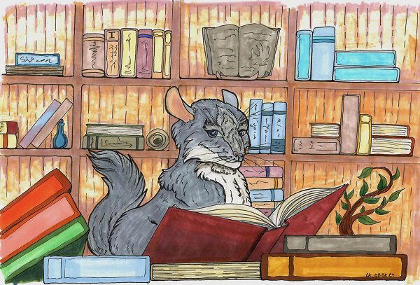 Книжный хвост