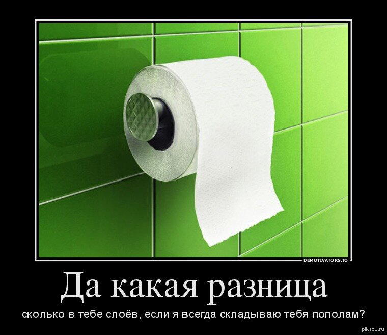 День туалетной бумаги