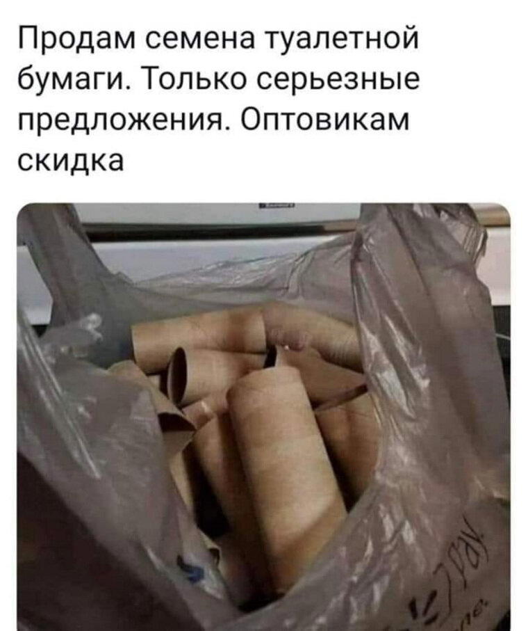 День туалетной бумаги