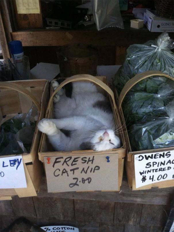 Скучали?) Они не пропадали, просто работали