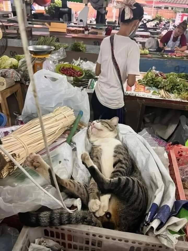 Скучали?) Они не пропадали, просто работали