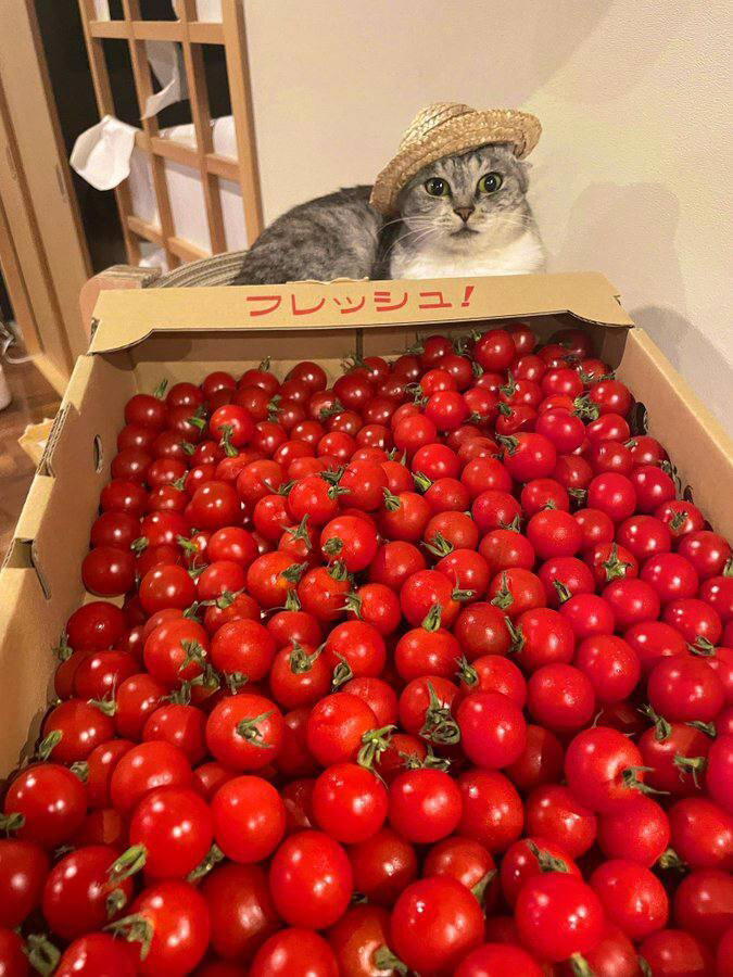 Скучали?) Они не пропадали, просто работали