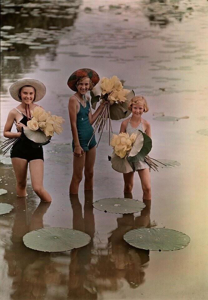 Девочки, стоящие в воде с букетами лотоса. США, 1938 год
