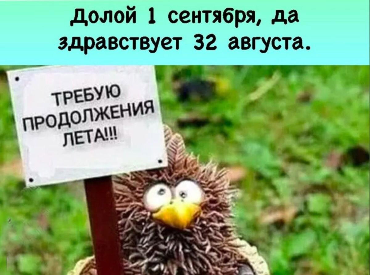 32 августа