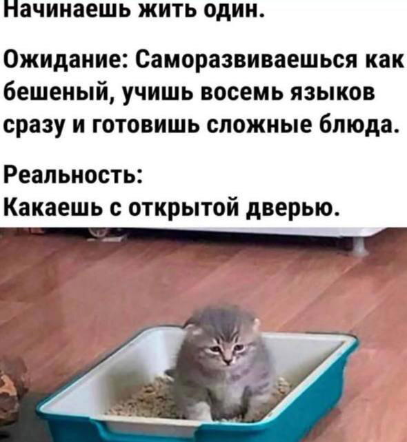 Когда начинаешь жить один