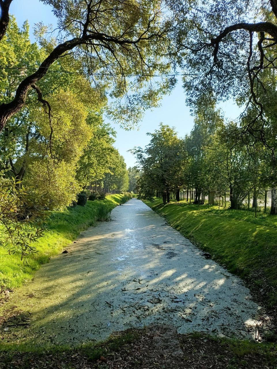 Осень. Начало. Фото.