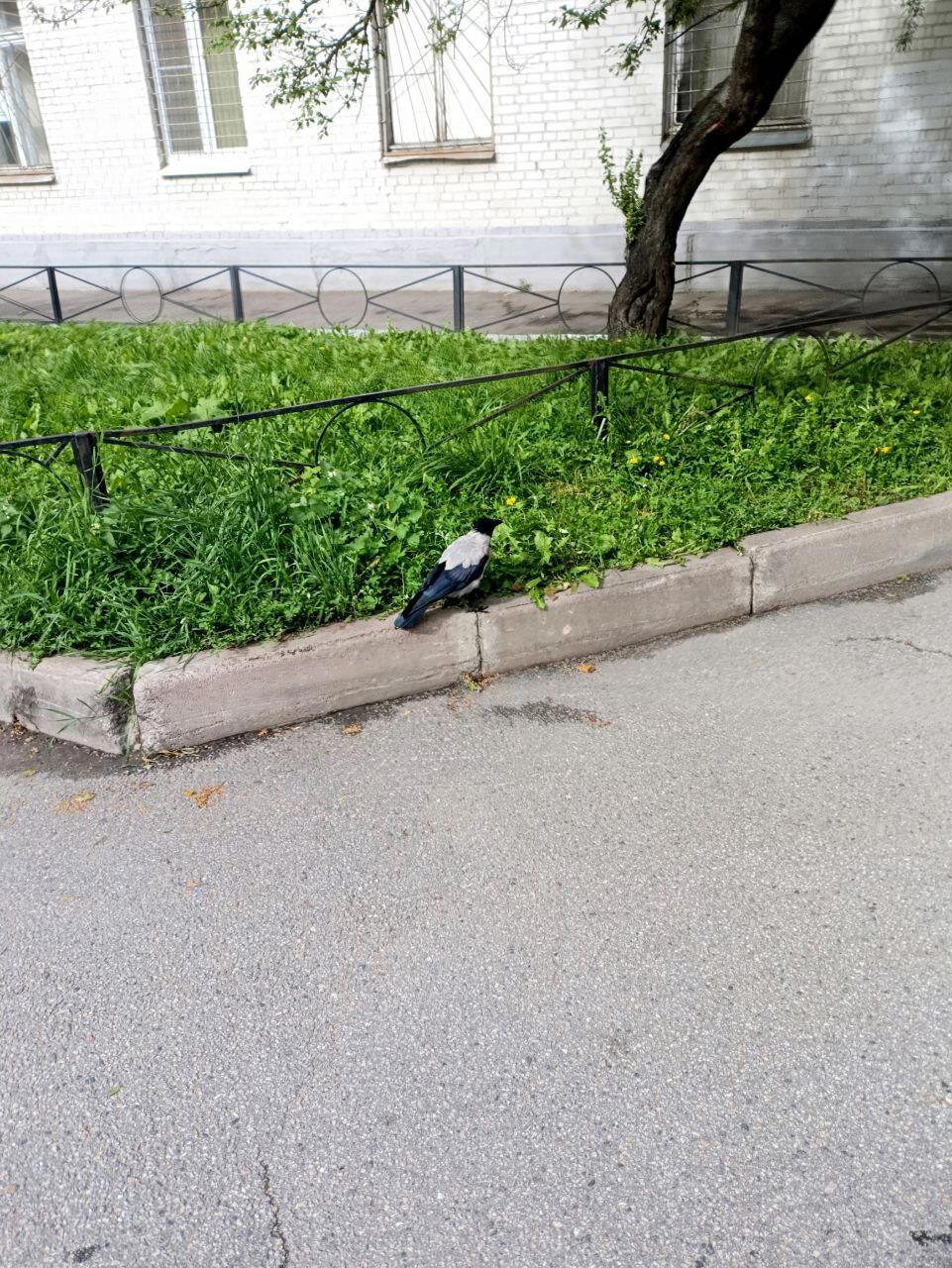 Осень. Начало. Фото.