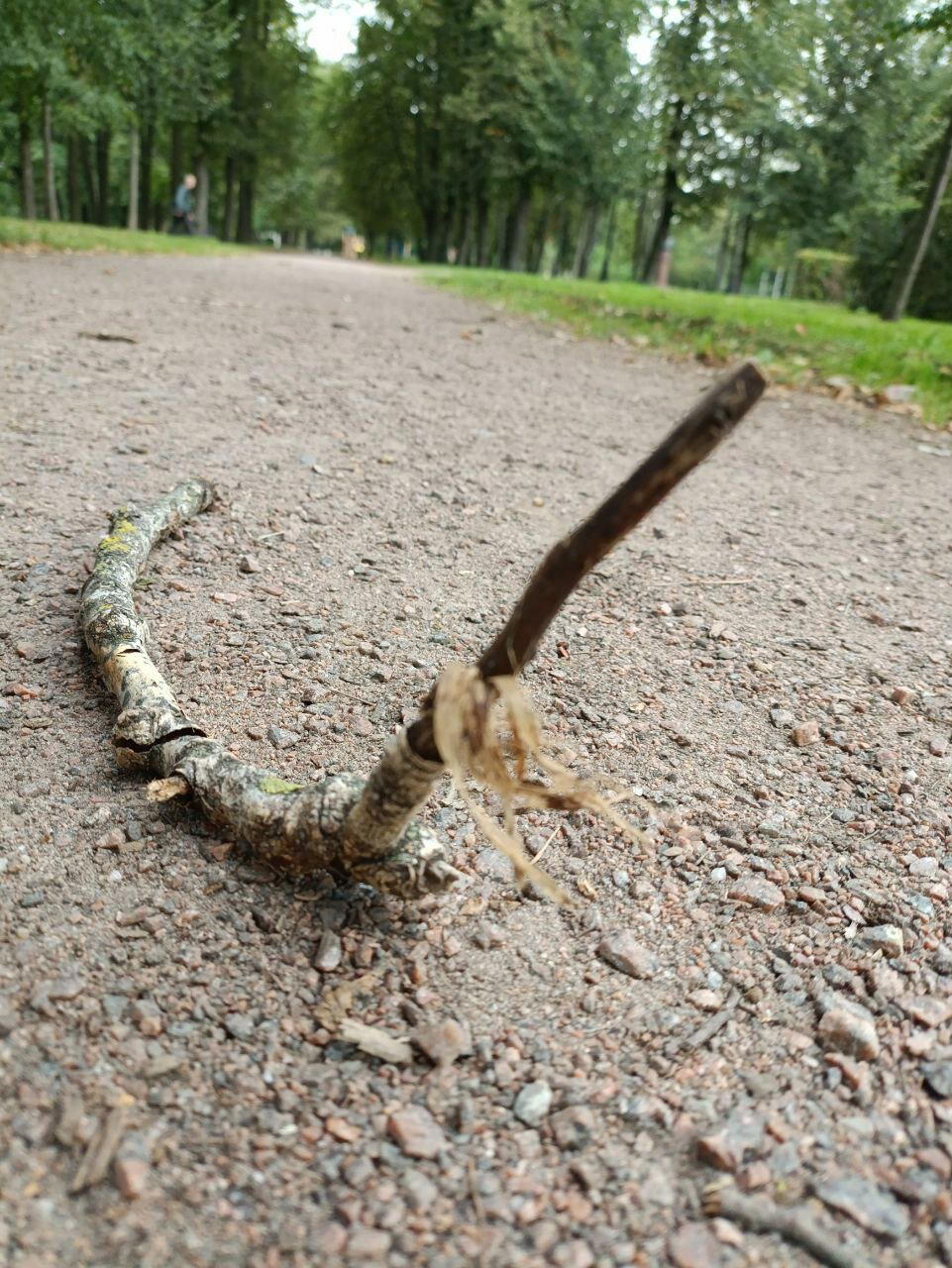 Облачно. Возможны осадки в виде осени. Фото.