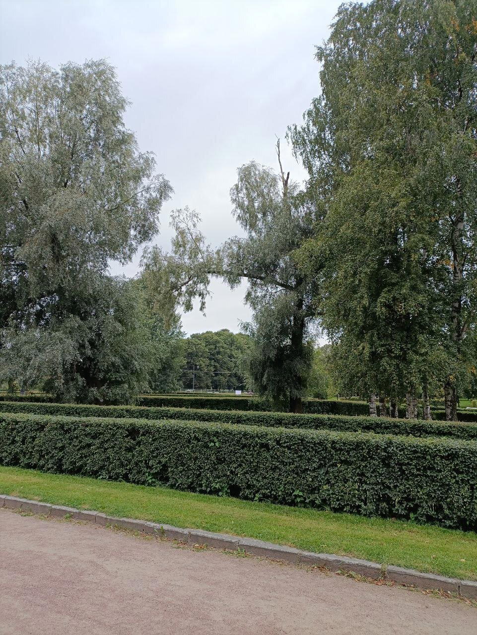 Облачно. Возможны осадки в виде осени. Фото.