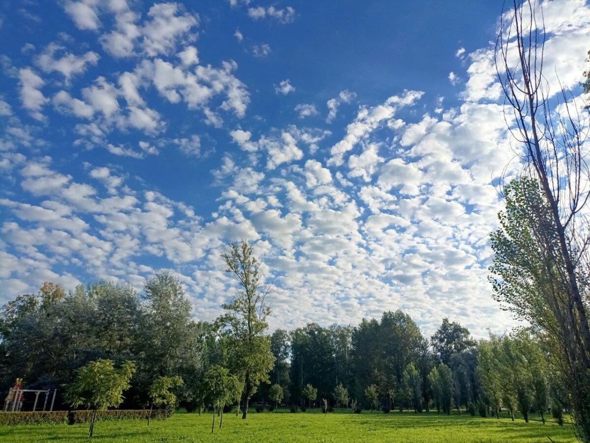 Облачно. Возможны осадки в виде осени. Фото.