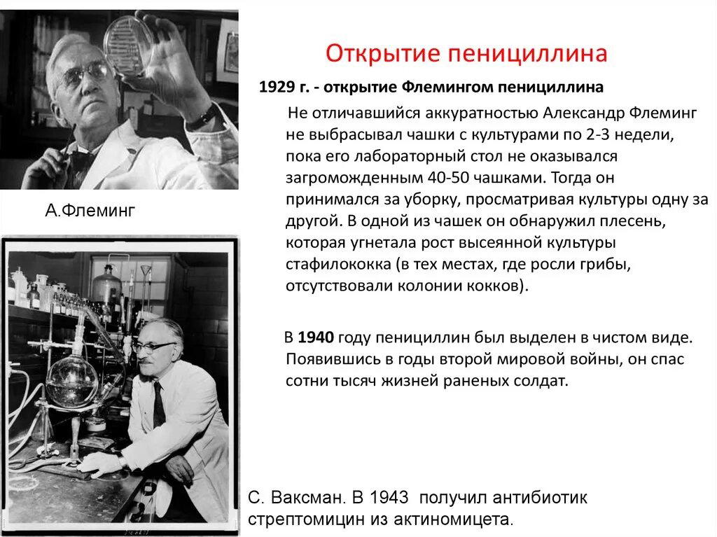 День рождения пенициллина