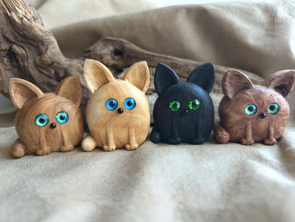 Котики