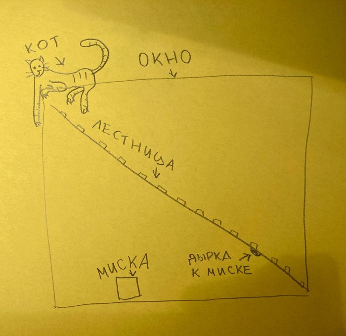 Про кота-альпиниста