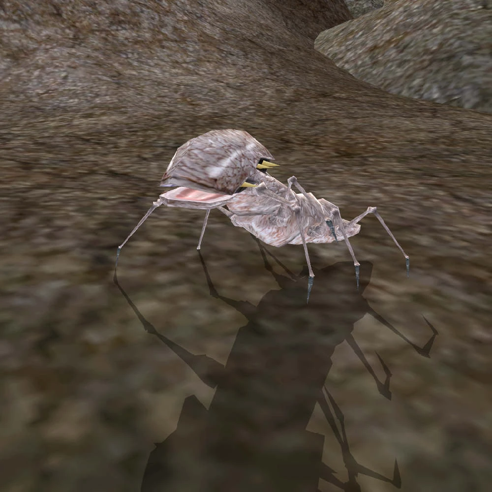 Скриб. По мотивам The Elder Scrolls III: Morrowind⁠⁠