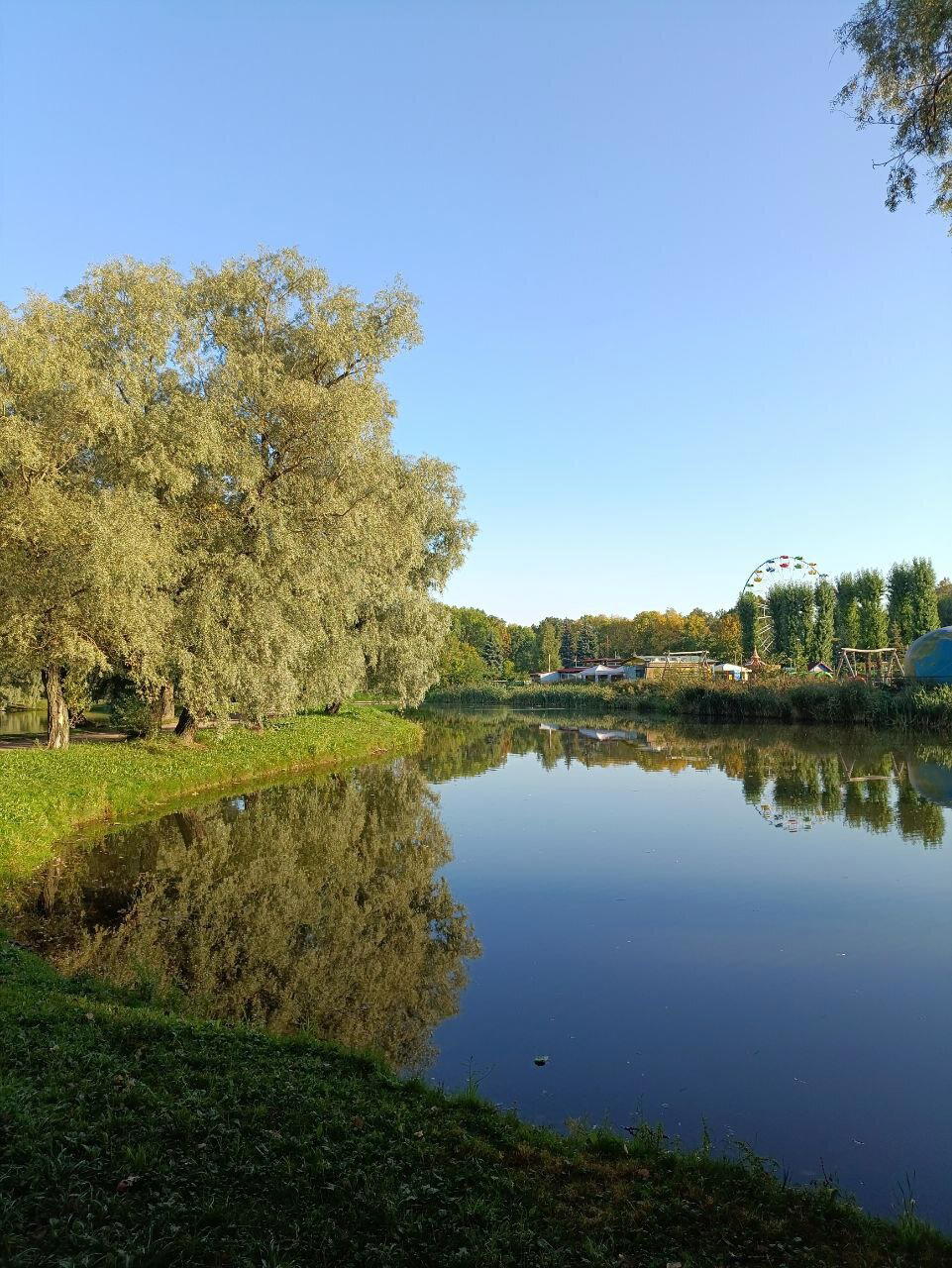 Деревья, птицы, вода и самокат. Фото.