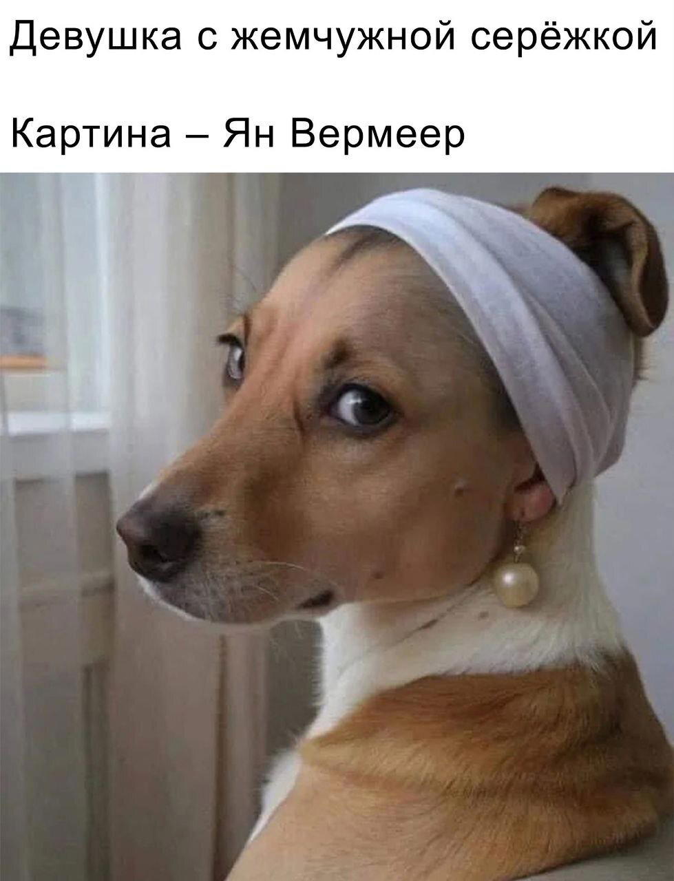 Как она смотрит на меня после 3-х часов макияжа.