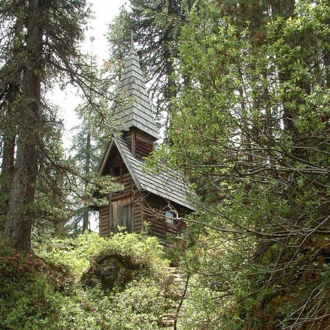 Путь в лесах — это километры тишины, безветрия. Это грибная прель, осторожное перепархивание птиц.