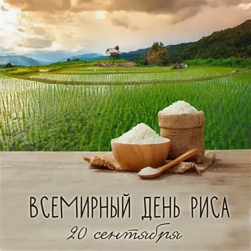 Всемирный день риса