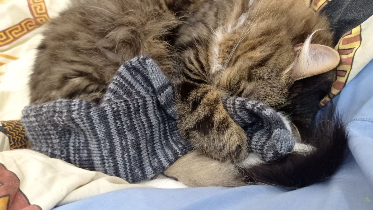 С меня изделие, с кота - добавить любви