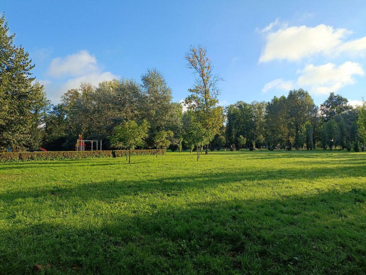 И все таки осень. Фото.
