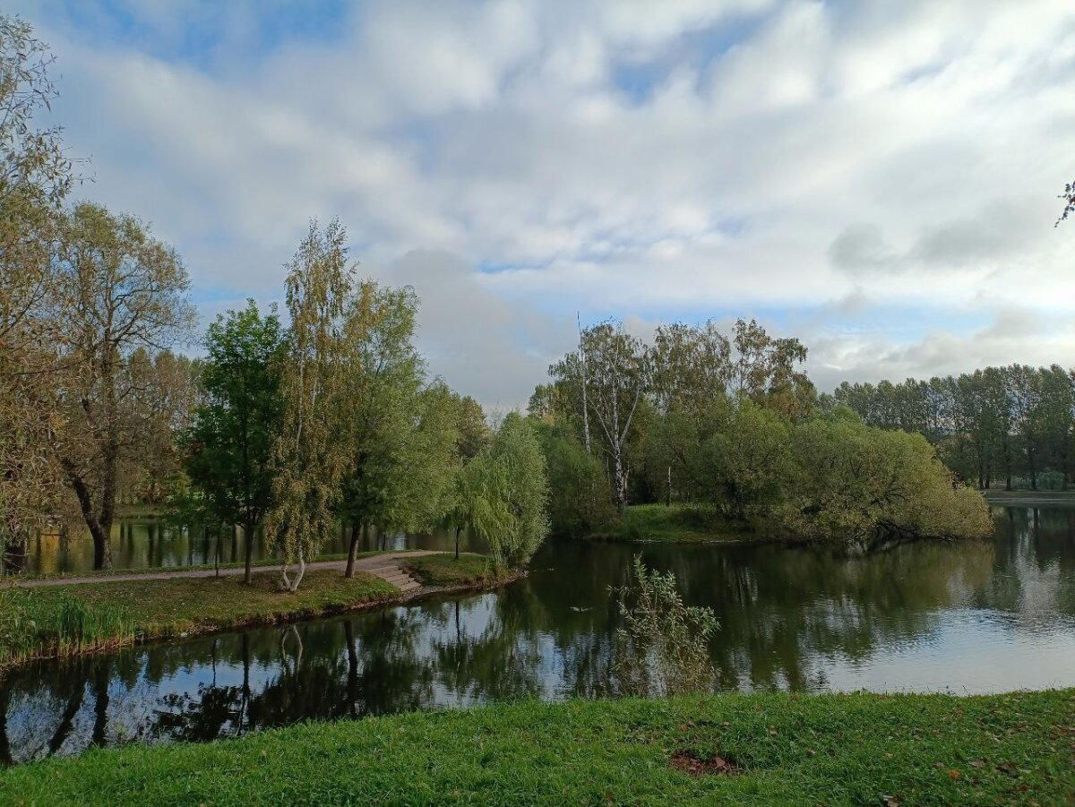 И все таки осень. Фото.