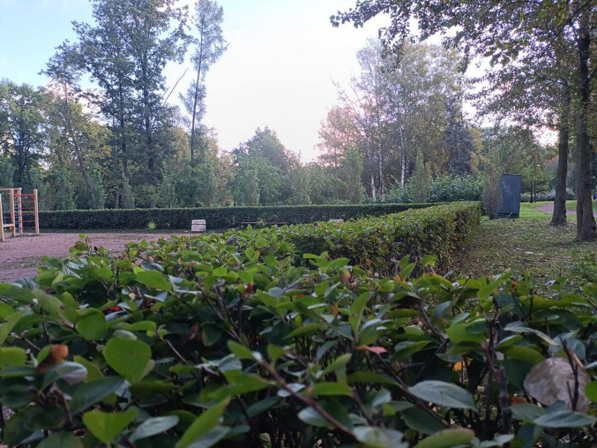 И все таки осень. Фото.