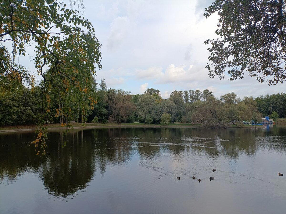 Дверь в осень. Фото.