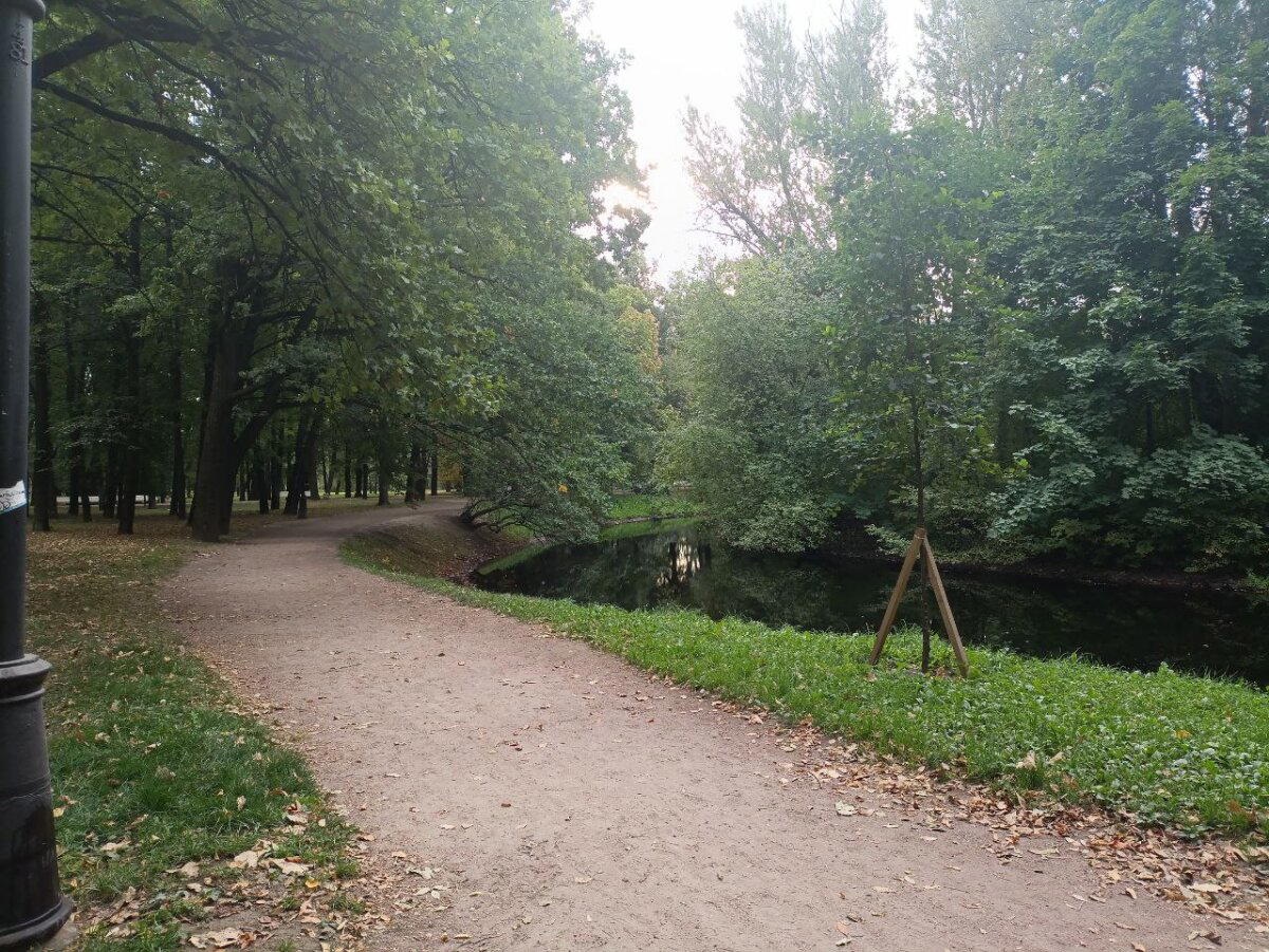 Дверь в осень. Фото.