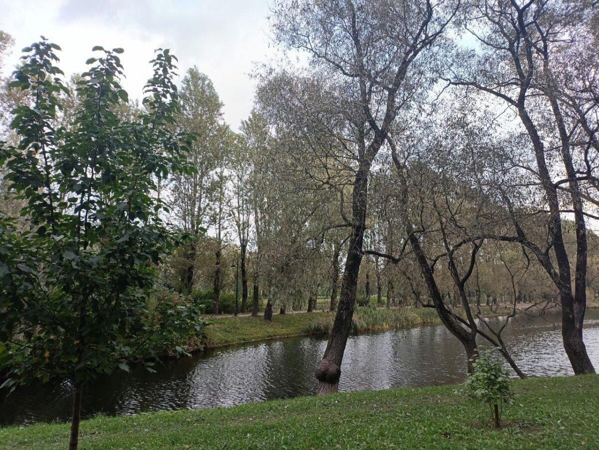 Дверь в осень. Фото.