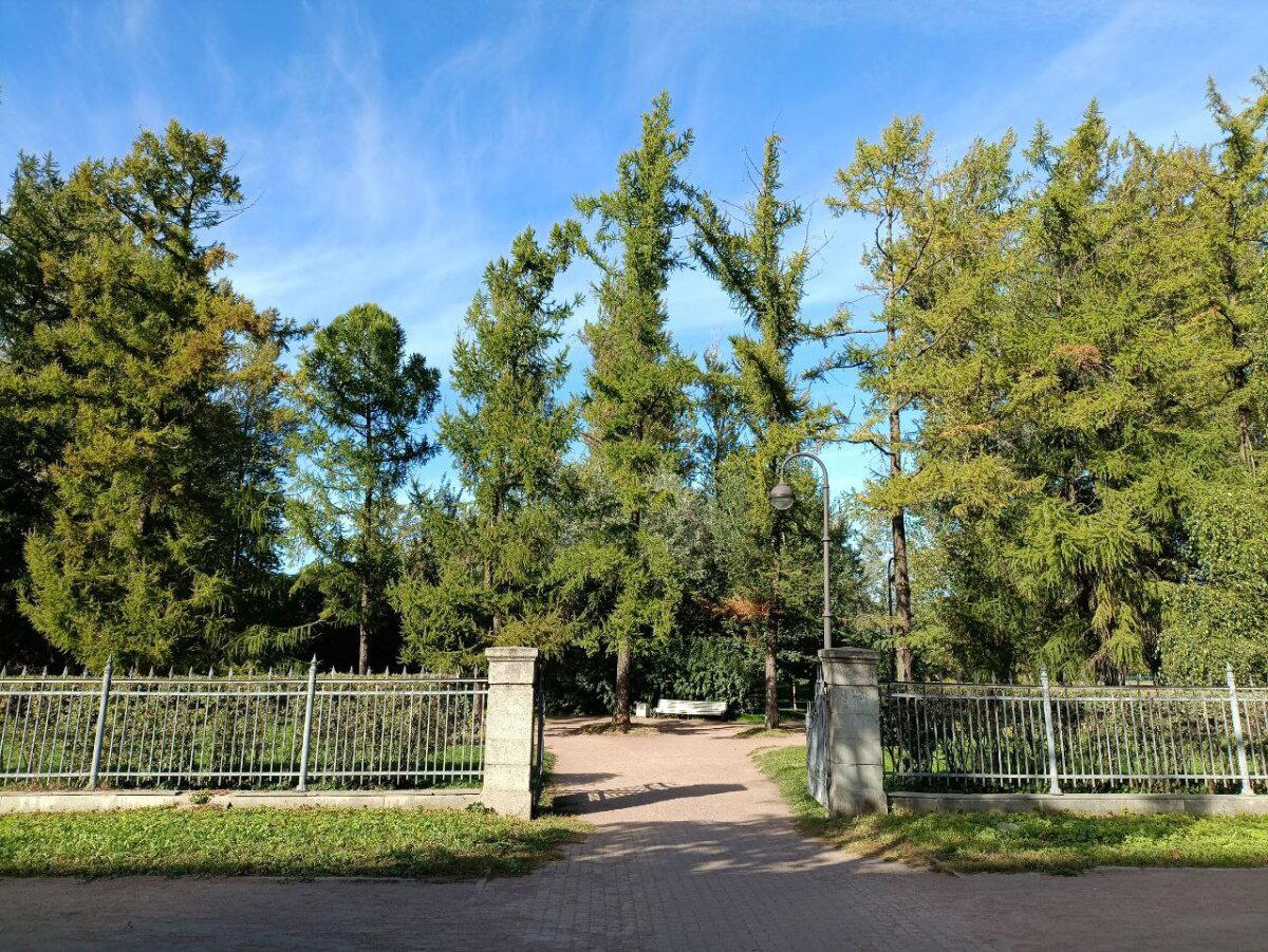 Дверь в осень. Фото.