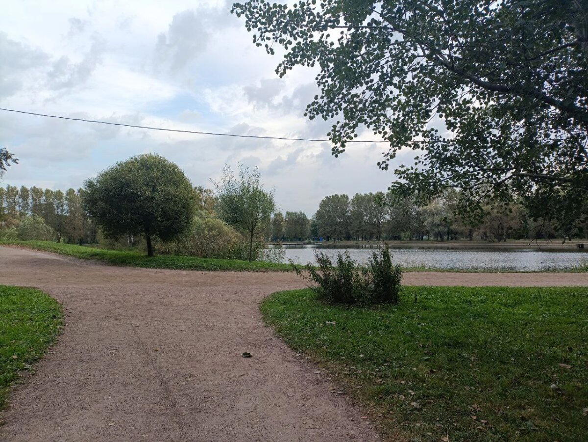 Дверь в осень. Фото.