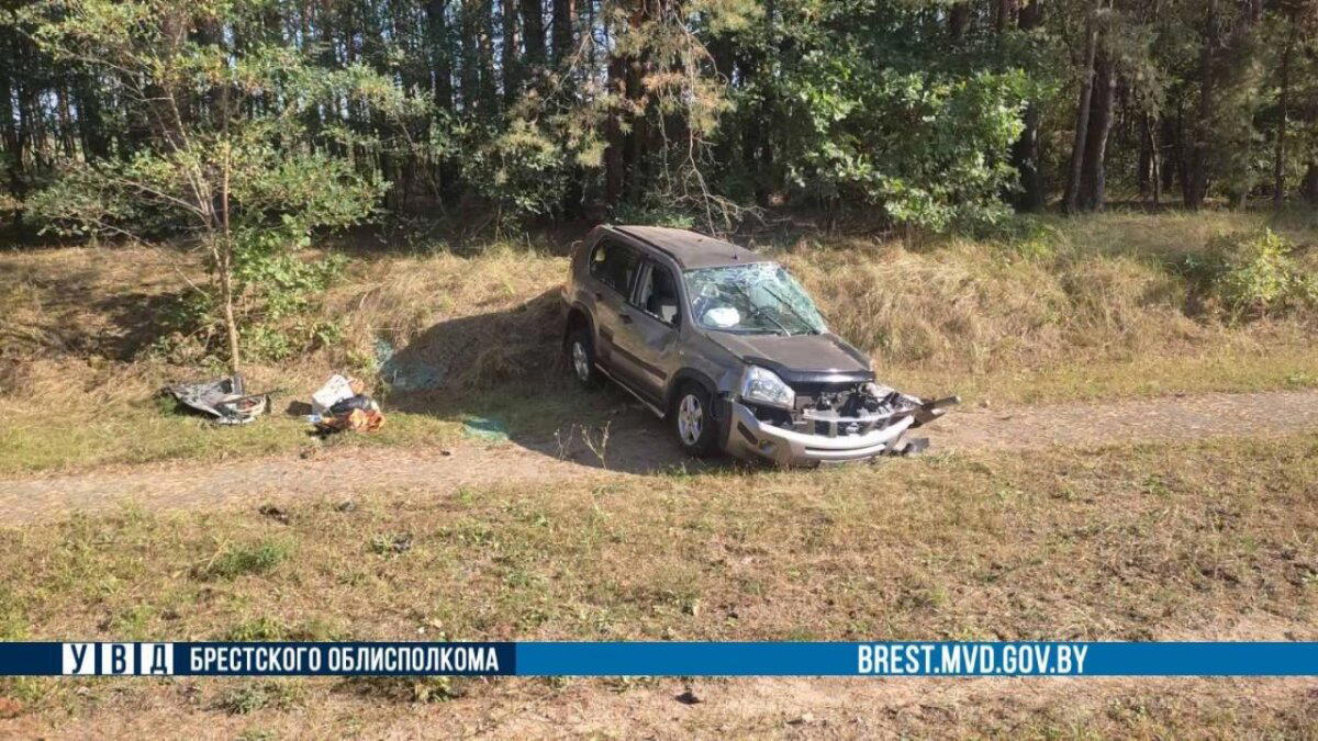Обгон, встречка, ну и дальше по плану