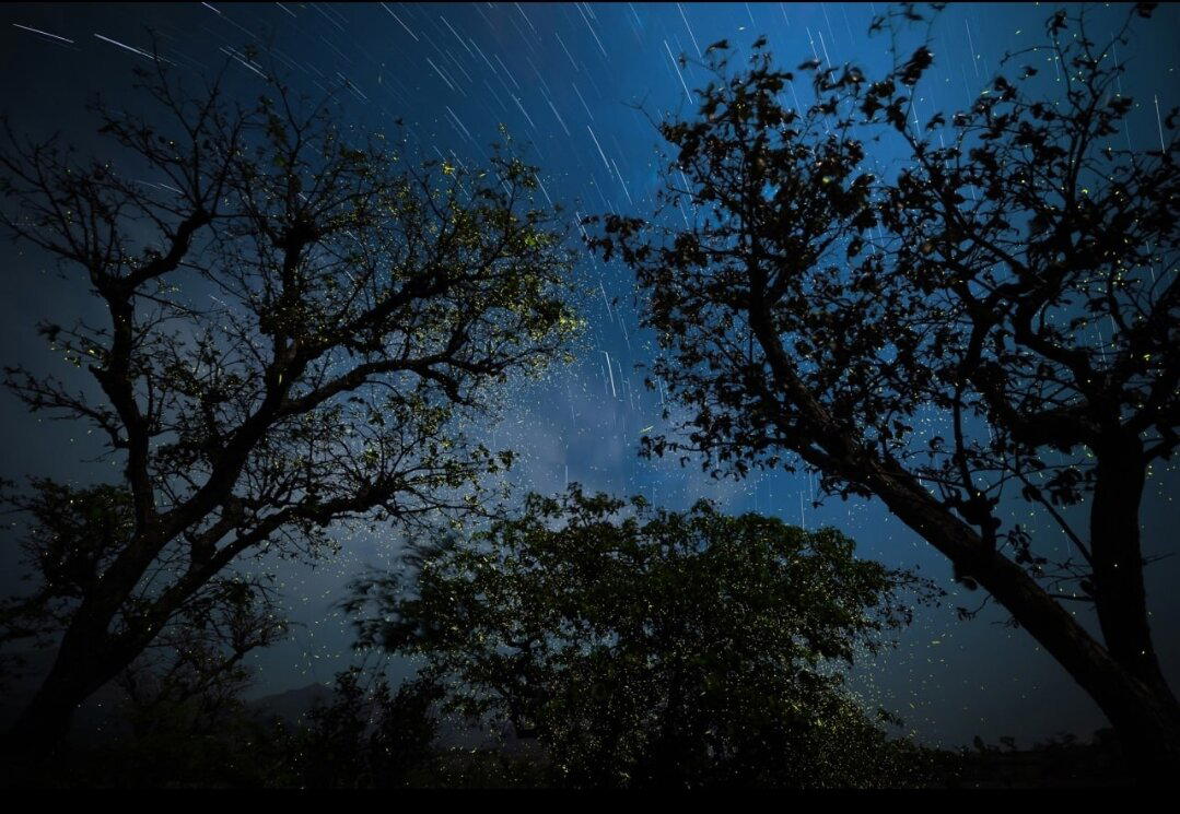 Победители в номинации "Ночные пейзажи" на конкурсе Natural Landscape Photography Award 2024
