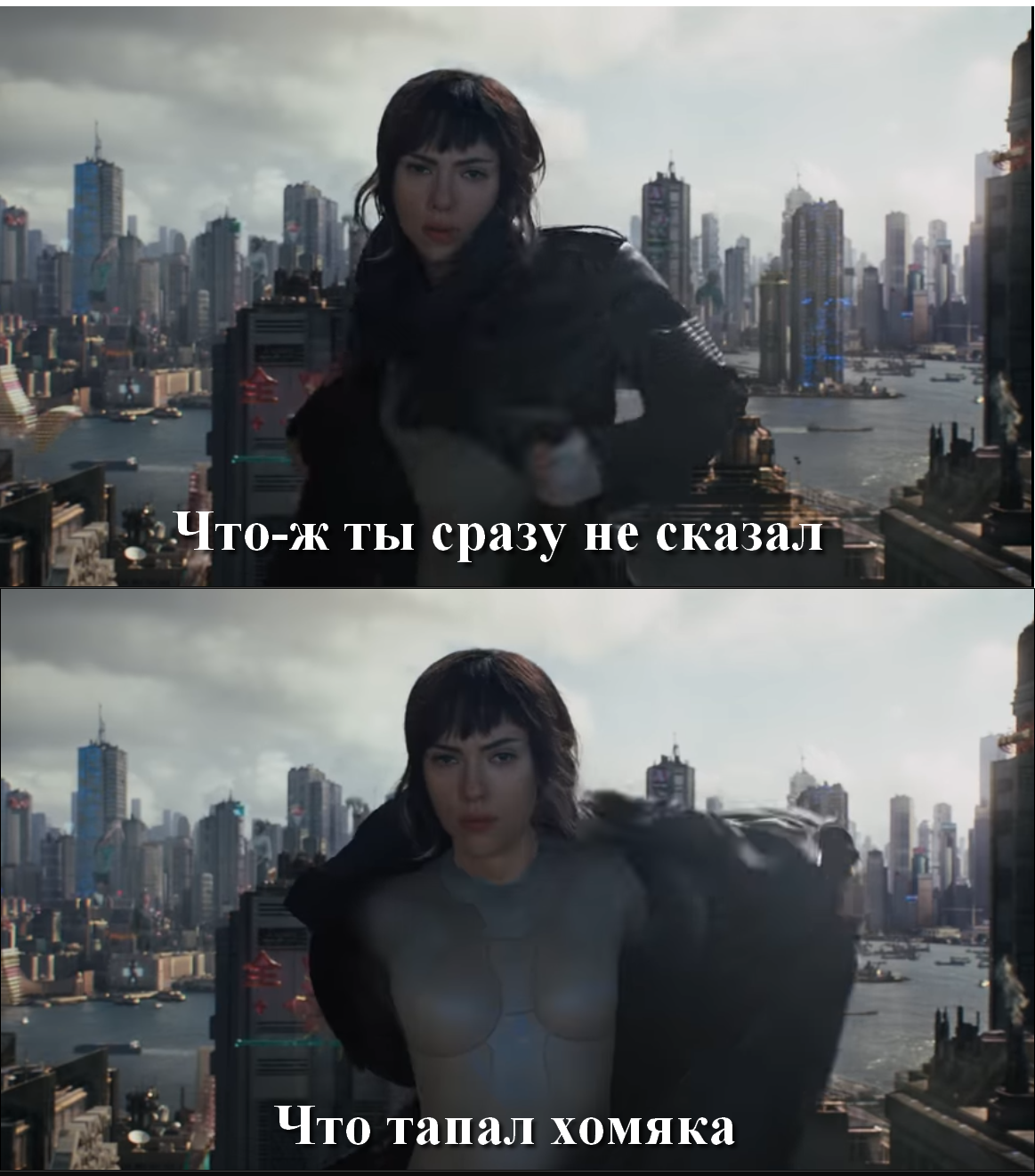 Обогатевшим Хомяководам посвящается.