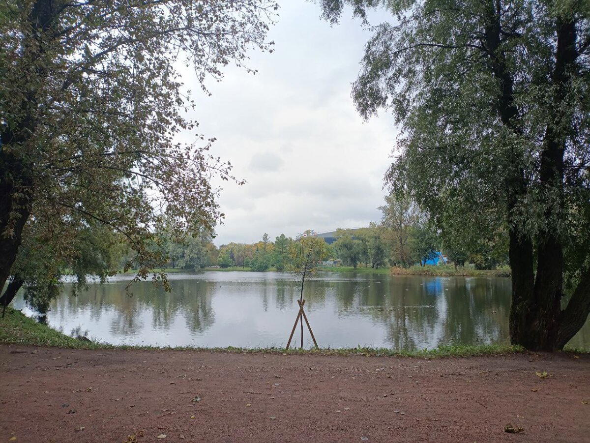 Хмырь возвращается. Фото