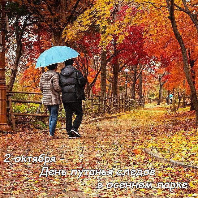 День путанья следов в осеннем парке