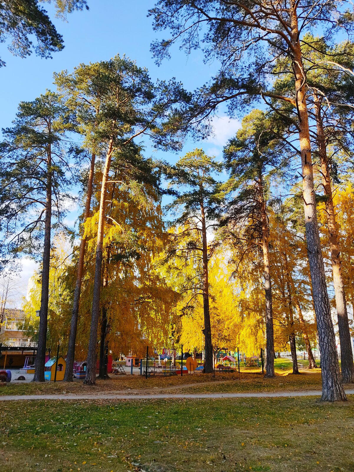 День путанья следов в осеннем парке