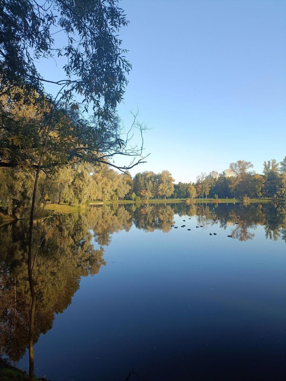 Отражения и холод. Фото.