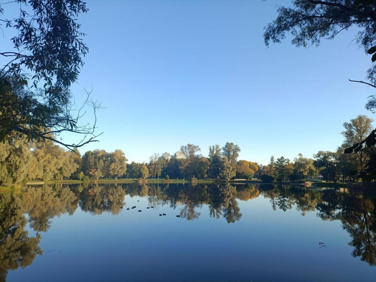 Отражения и холод. Фото.