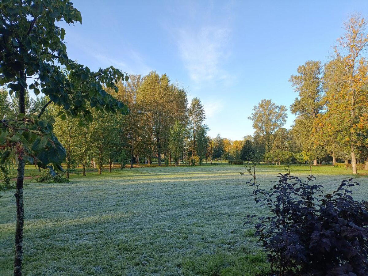 Отражения и холод. Фото.