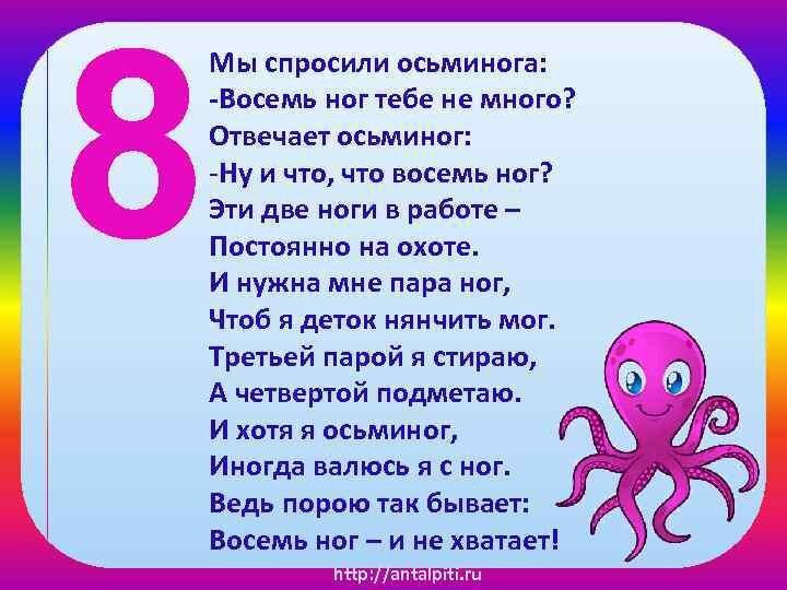 Всемирный день осьминога