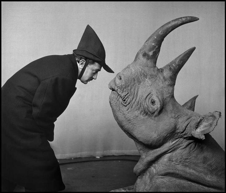 Сaльвадор Дали и носорог, 1956 год.
