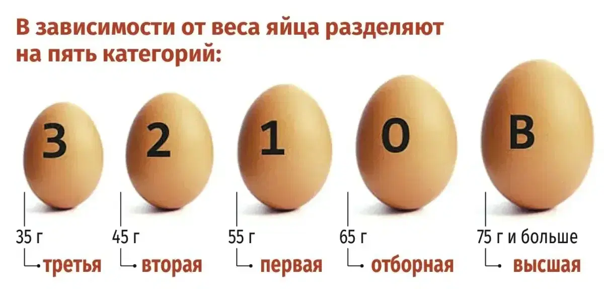 Всемирный день яйца