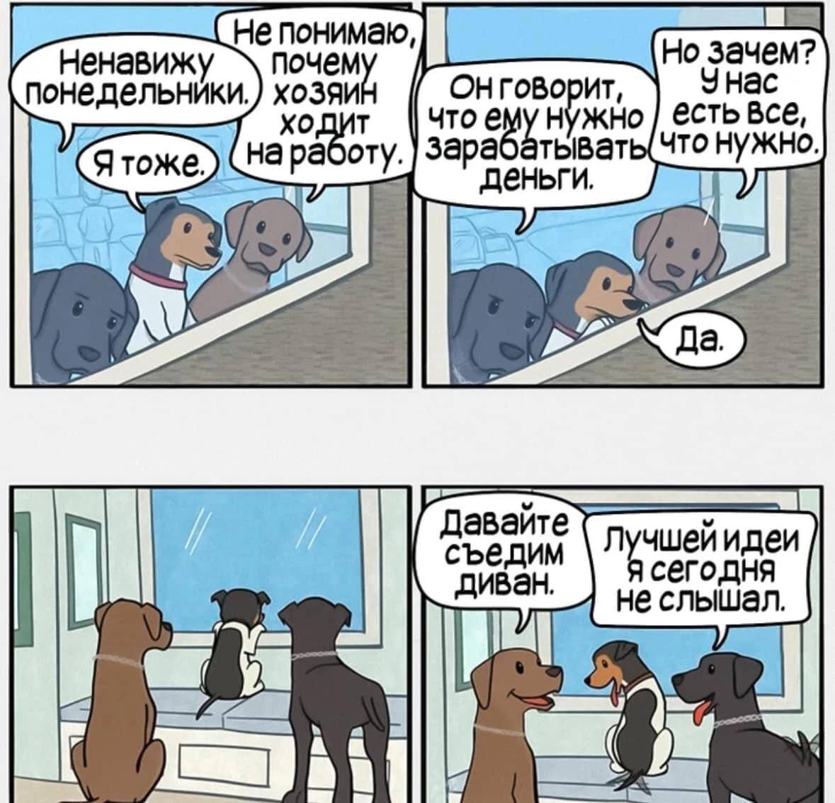 Про собак.