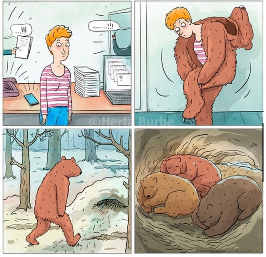 План на следующую полгода.