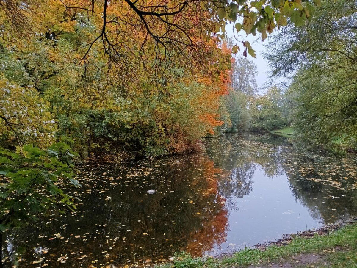 Мокро, темно и красиво