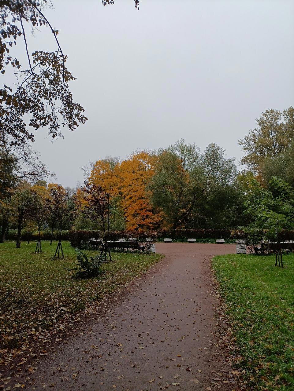 Мокро, темно и красиво