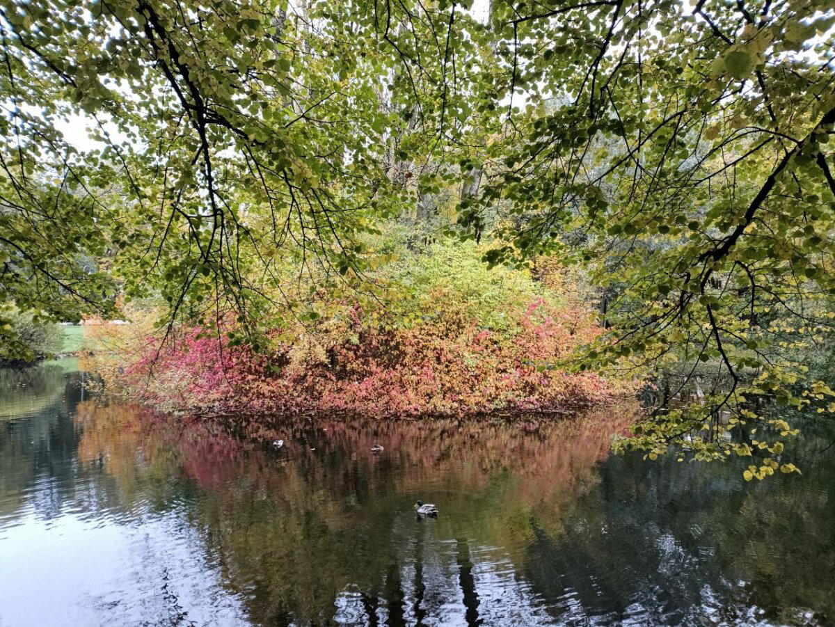Мокро, темно и красиво